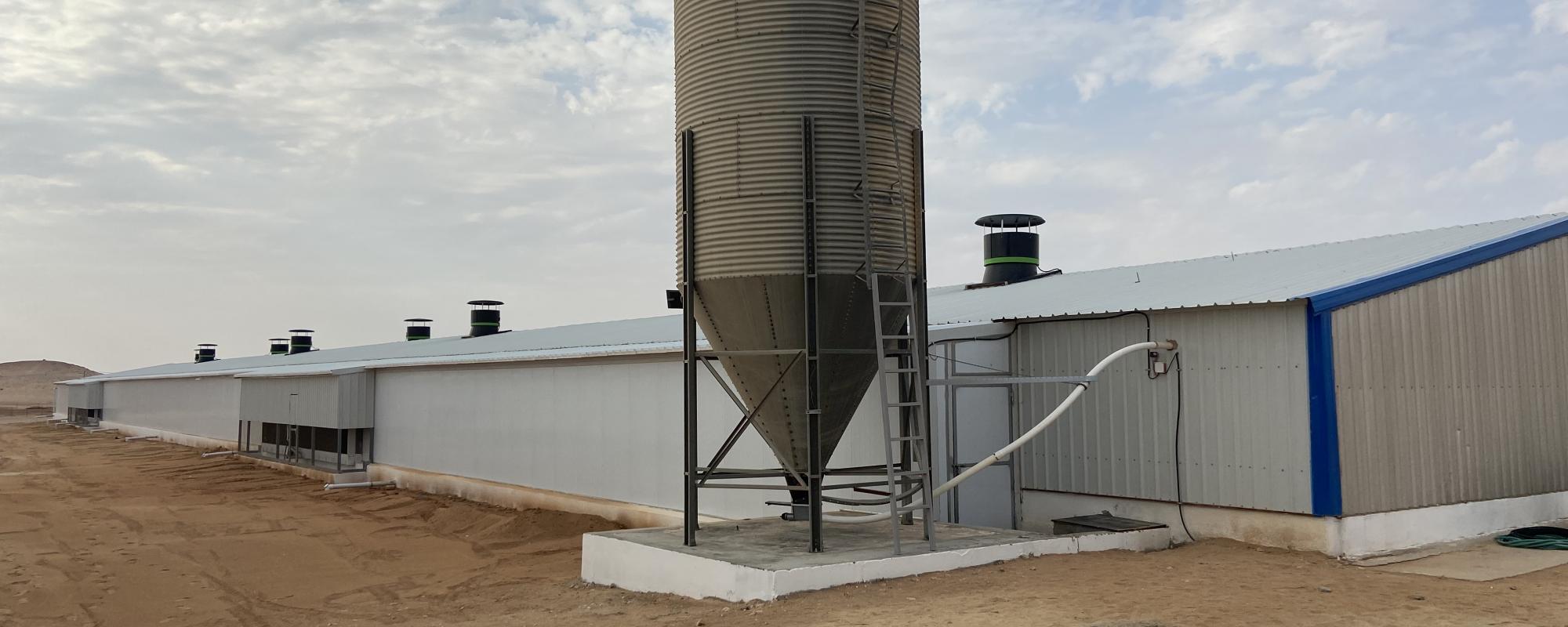 New: revolutionary doubleskin broiler house in Saudi Arabia